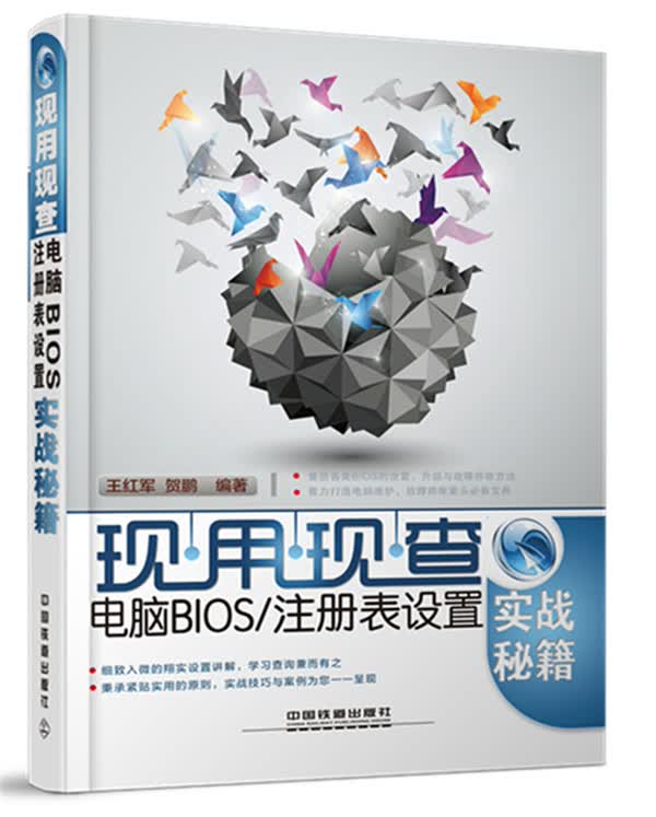 现用现查 电脑BIOS注册表设置实战秘籍 王红军、贺鹏【正版图书，放心购买】