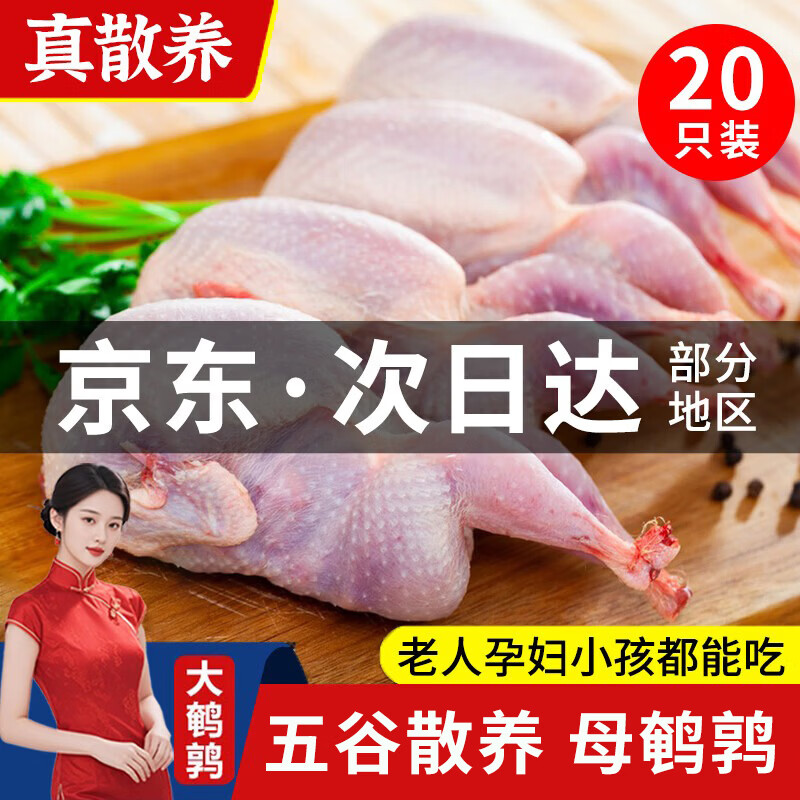 颐乡情【次日达】大鹌鹑农家散养鹌鹑生鲜现杀鹌鹑肉新鲜冷冻鸡烧烤食材 散养母鹌鹑净约6斤/20只装