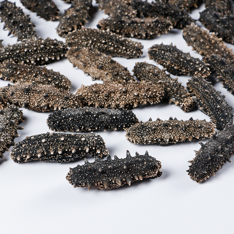 虎钢馋海参 淡干 50头 60头 80头 90头 泡发10斤