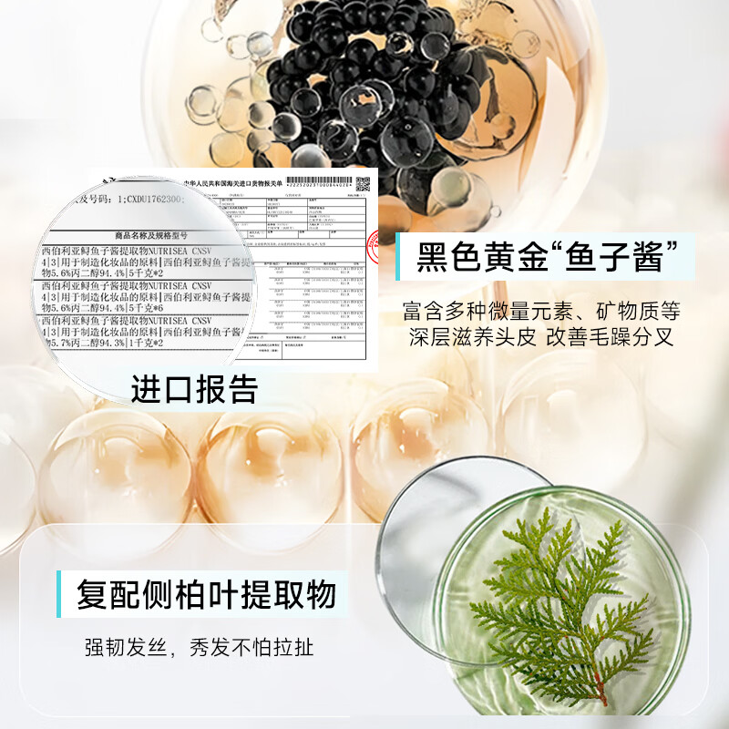 弹动鱼子酱洗发水洗头露洗头膏控油蓬松去屑止痒持久留香男女士适用 【家庭装】鱼子酱控油蓬松洗发水300ml*3+80ml*3