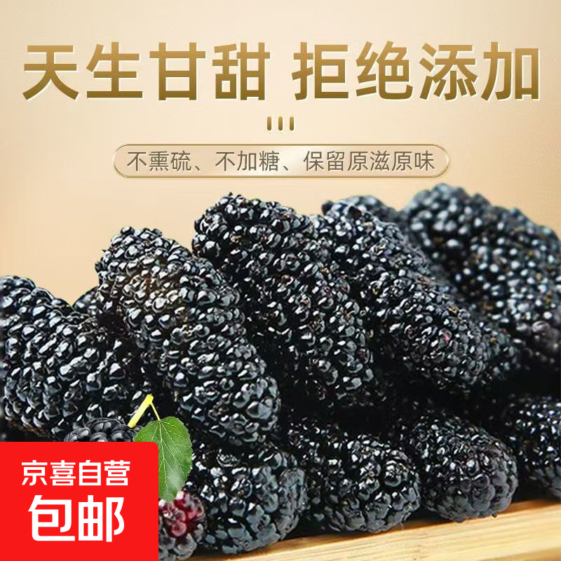 甄选特级大果桑葚干新疆特级免洗新鲜现摘黑桑葚果泡酒泡茶 甄选大果桑甚干10克*1袋（净重）