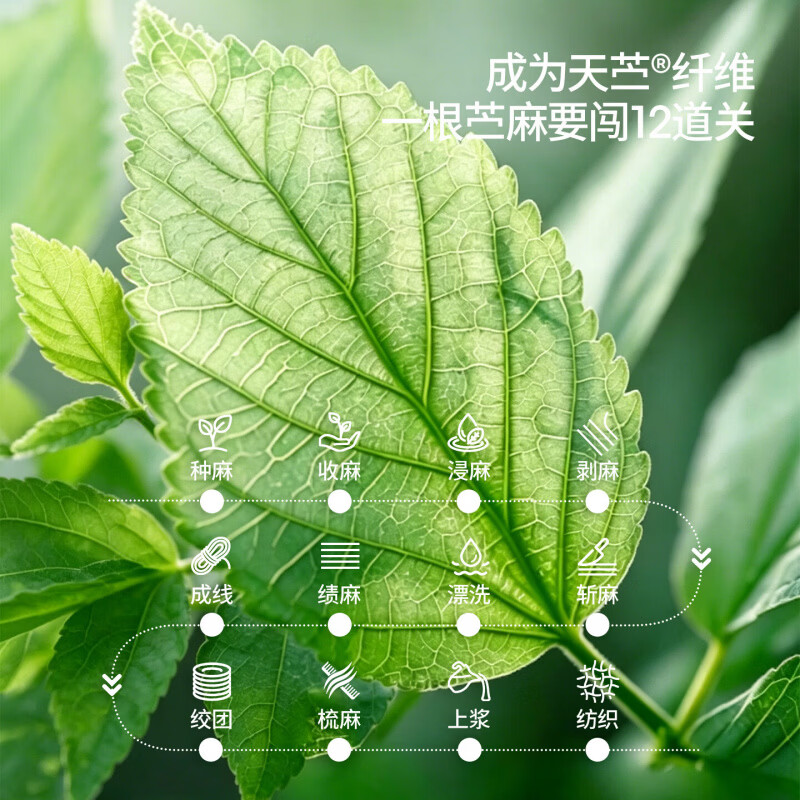 贝肽斯婴儿凉席夏季苎麻凉席儿童床席透气宝宝婴儿幼儿园午睡席子 【凉席】海底萌游(23%苎麻含量 10A抗菌) 100*56cm