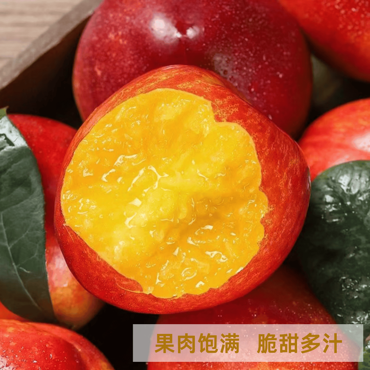 薏品甄鲜山东聊城油桃 新鲜头茬桃子 当季应季水果 脆甜多汁 源头直发 净重3斤【单果60g+】