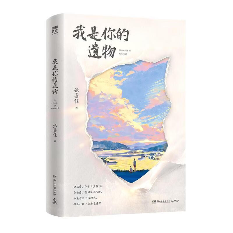 【当当礼盒版 现货速发】我是你的遗物 张嘉佳新书 张嘉佳新书2026全新小说 升维突破之作 强伏笔深治愈 如果永远无法相见 那么一字一句都是遗言
