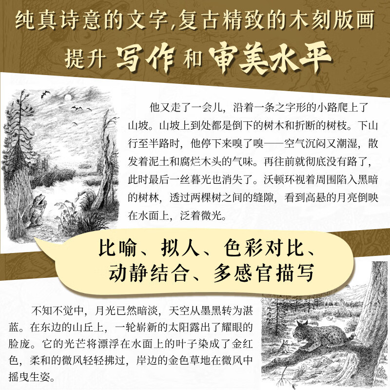 当当正版 沃顿和莫顿 全3册 进阶版的“青蛙和蟾蜍”,微缩版的“柳林风声”。充满爱与欢笑的森林奇梦,帮助孩子理解社会规则与相处智慧 儿童文学小学生课外阅读书籍 沃顿和莫顿(全3册)