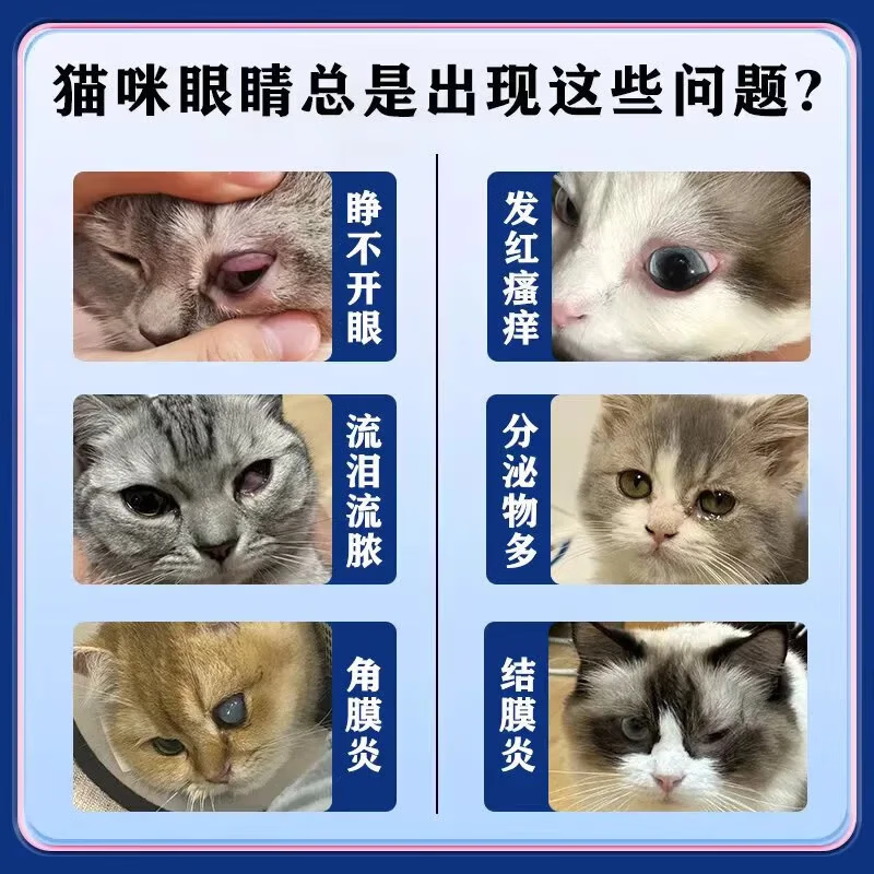 氯霉素滴眼液宠物狗狗猫咪泪痕去除眼药水滴眼液眼屎泪痕神器 3瓶滴耳液+3瓶滴眼液【宠物超值护理套装】超值装