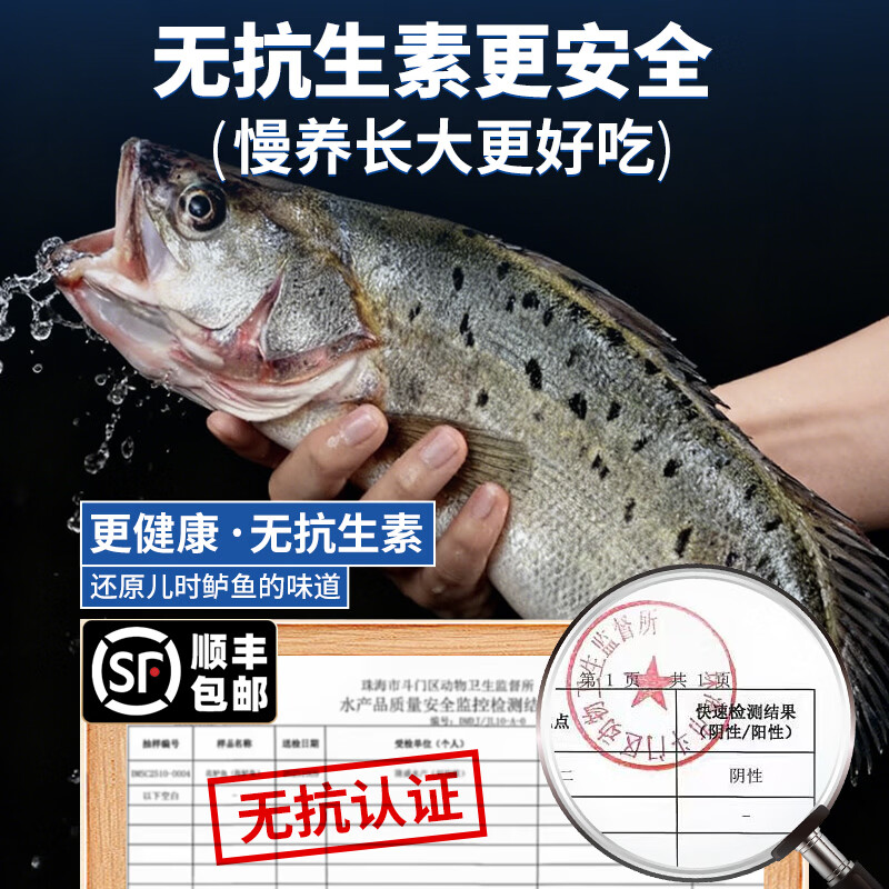 潮夫道开背海鲈鱼 三去免处理无抗生素刺少肉厚海捕海鲜水产鱼类生鲜 海鲈鱼2条装(400-500g/条)