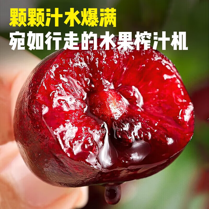 东鲜丰山东大樱桃国产车厘子 孕妇新鲜水果大樱桃水果礼盒组合整箱送礼 3斤丨朋友分享 实惠装果径22-26mm