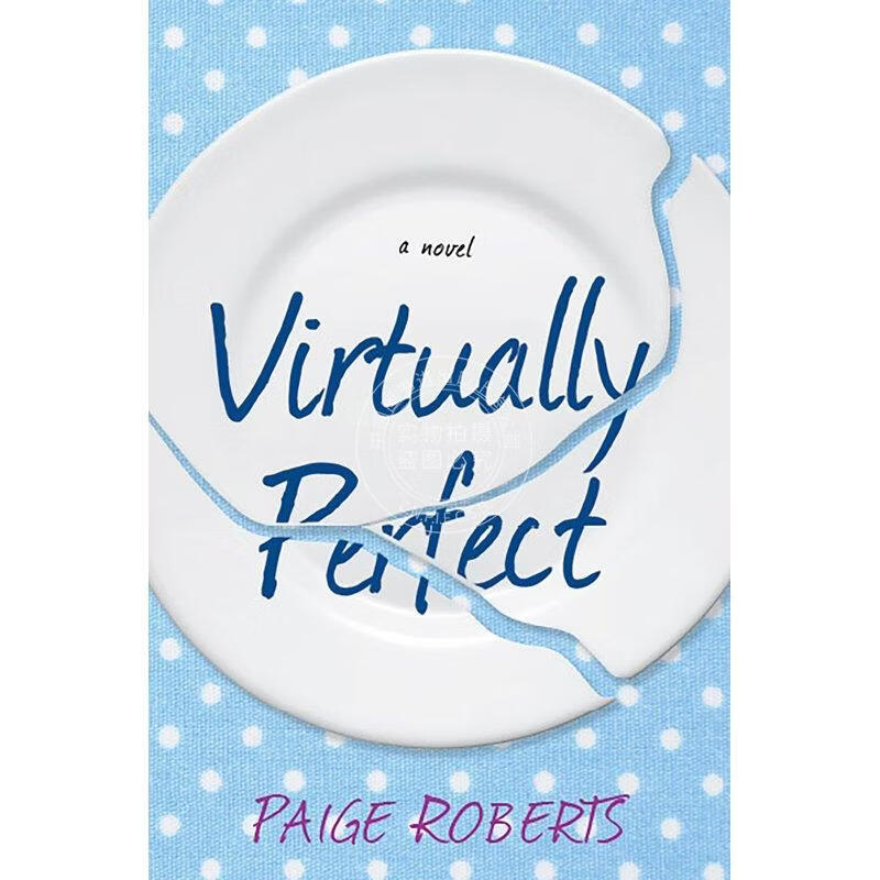 预售 Virtually Perfect 企鹅兰登