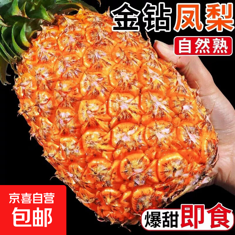 正宗海南金钻凤梨新鲜现货手撕大果巨大号多汁不需挖眼水果包邮 金钻凤梨1个装【小果】净重0.8-1.2斤