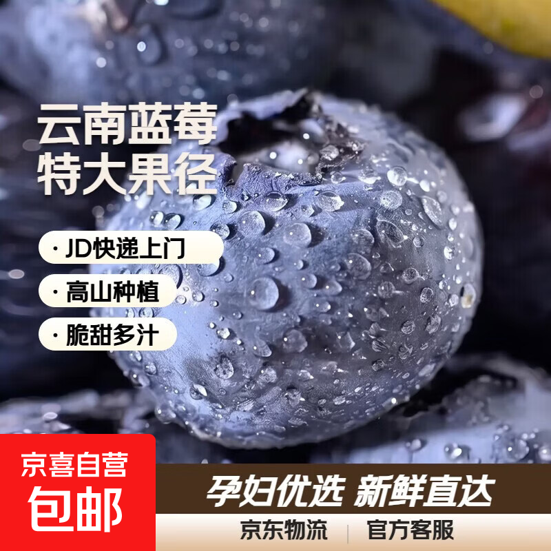 云南国产蓝莓【多地JD快递】超大果新鲜蓝莓 精选孕妇水果 4盒装 多买多划算【70-90g/盒】 中果【单果15mm+】