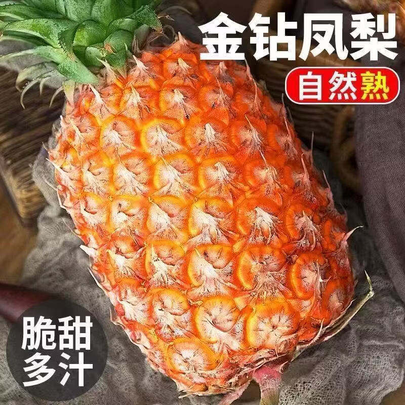 果迎鲜凤梨 新鲜水果 海南金钻凤梨 热带水果 4.5斤装净重