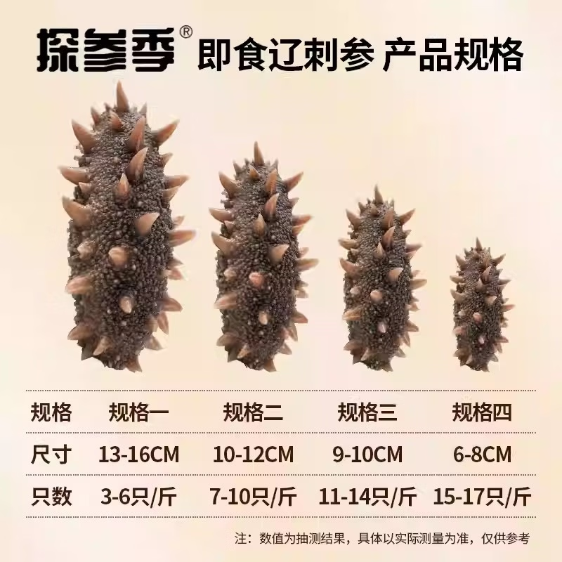 探参季高品质即食海参大连冷蒸锁鲜鲜食海参独立包装开袋即食营养滋补品 4斤装 13-17只/1斤