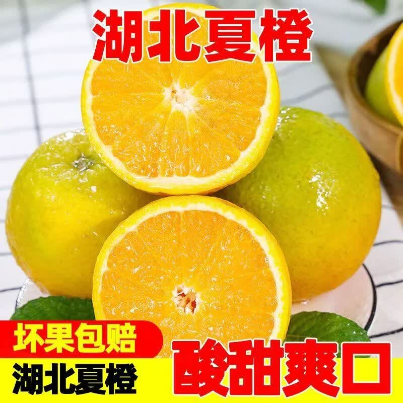 您家橙湖北秭归夏橙当季新鲜橙子现摘手剥甜橙孕妇水果酸甜多汁 秭归夏橙净重4.5斤101g