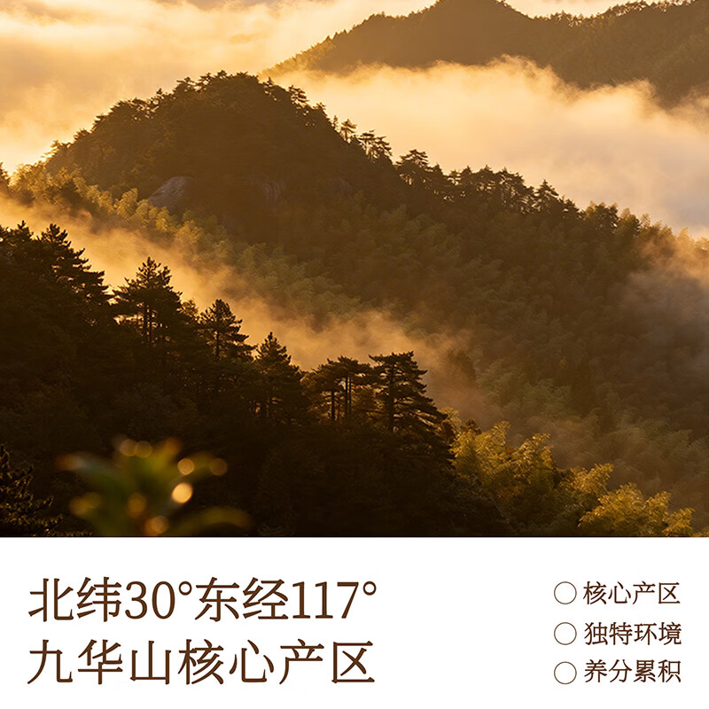 叁津川黄精茶九蒸九晒有机黄精九华山产地养生冲泡茶 95g*4袋
