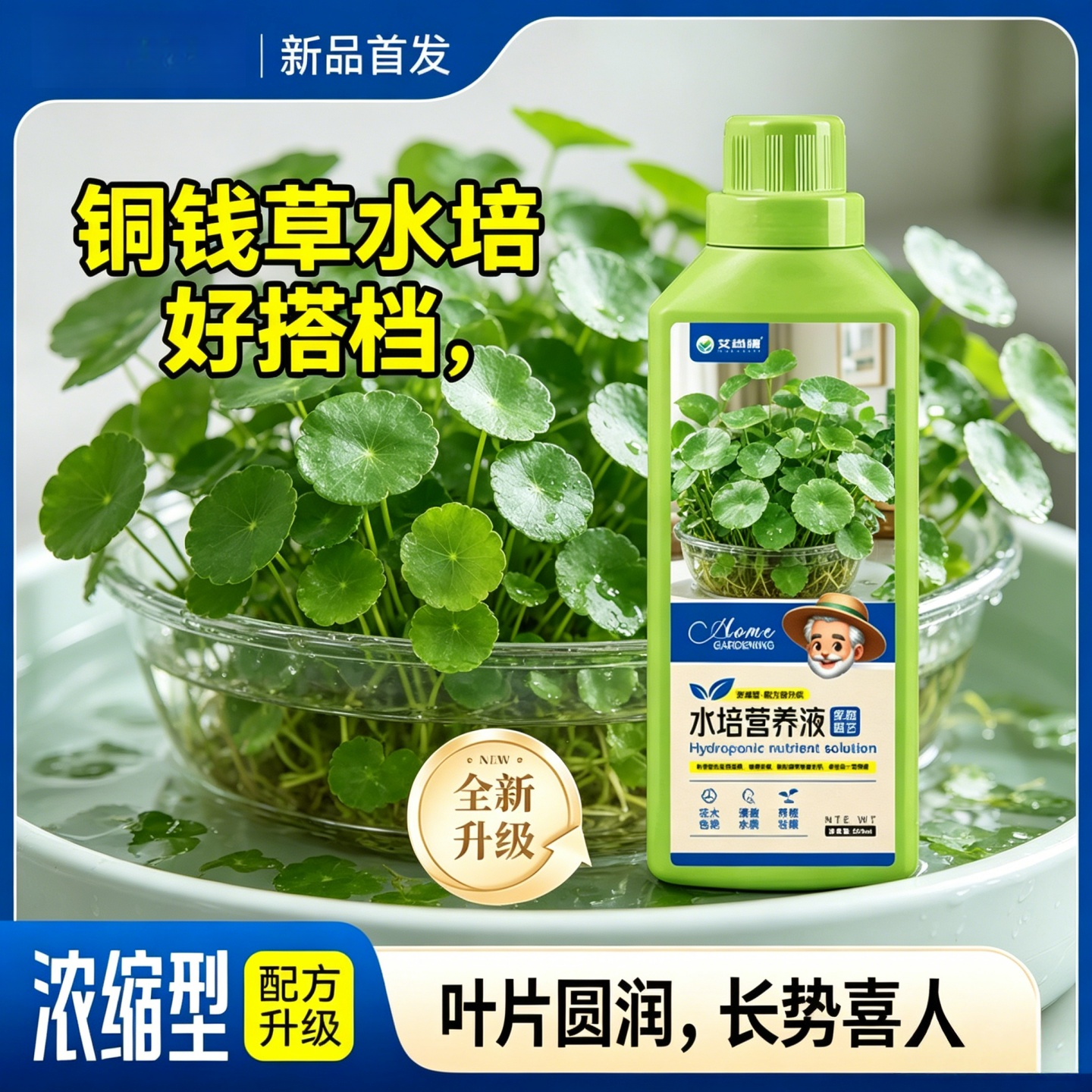 水培植物营养液家用富贵竹绿萝铜钱草通用型花卉盆栽浓缩液体花肥 水培营养液500ml*5瓶