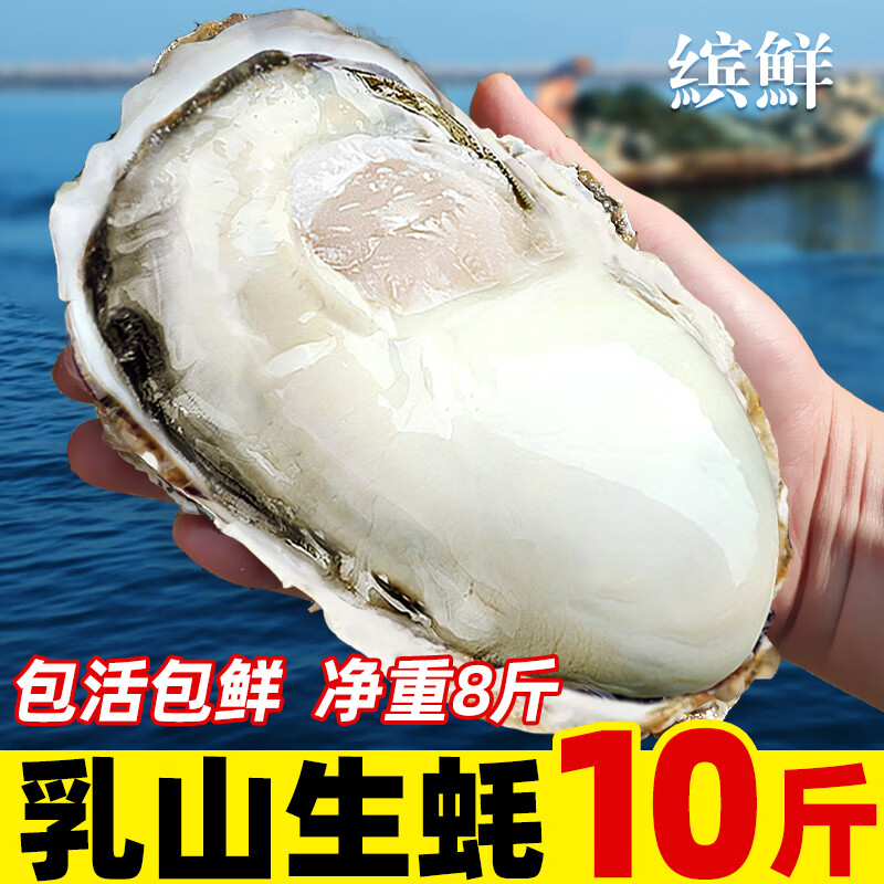 缤鲜 特大现捕乳山生蚝鲜活海蛎子净5斤带箱海鲜超大牡蛎贝壳即食水产 10斤装 5XL【约12-16只】净