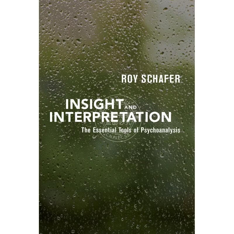 预售 Insight and Interpretation 企鹅兰登