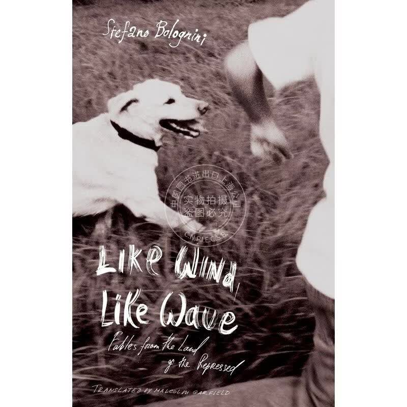 预售 Like Wind, Like Wave 企鹅兰登
