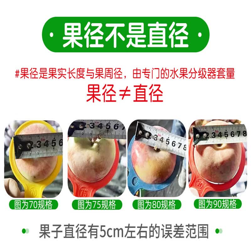 京愿山东烟台红富士苹果脆甜丑苹果时令平果新鲜冰糖心苹果水果生鲜 5斤精选|单果75-80mm|净重4.5斤