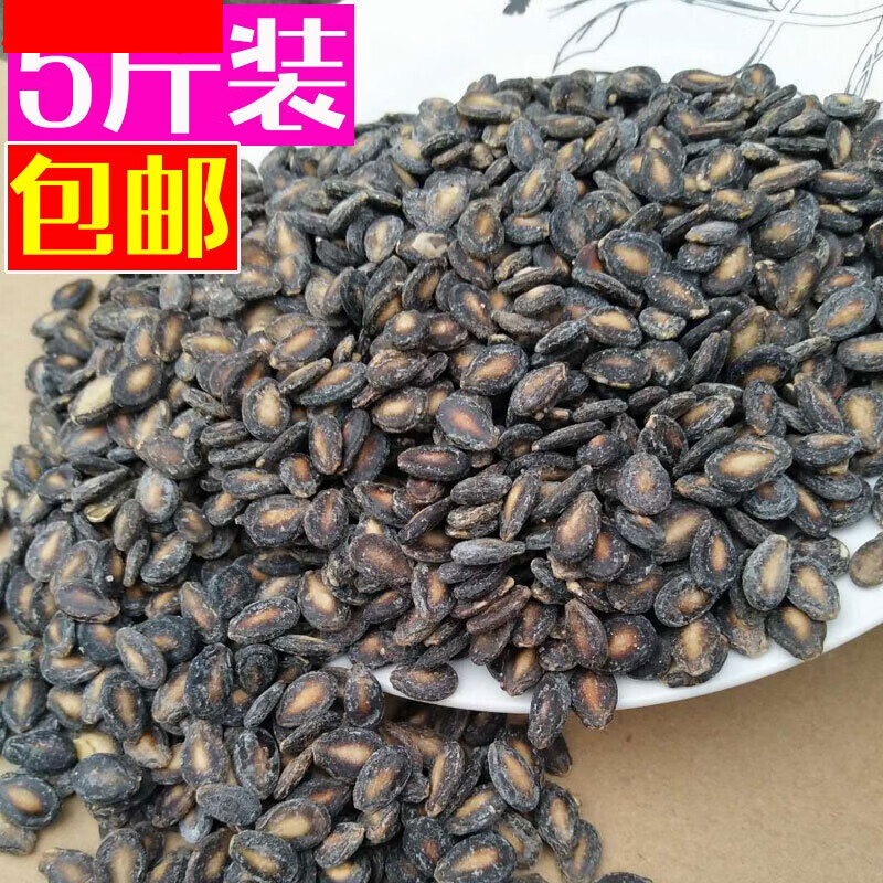 春锦秋鲤正宗咸味瓜子新货原味咸瓜子盐味炒货椒盐小西瓜子 10斤咸味