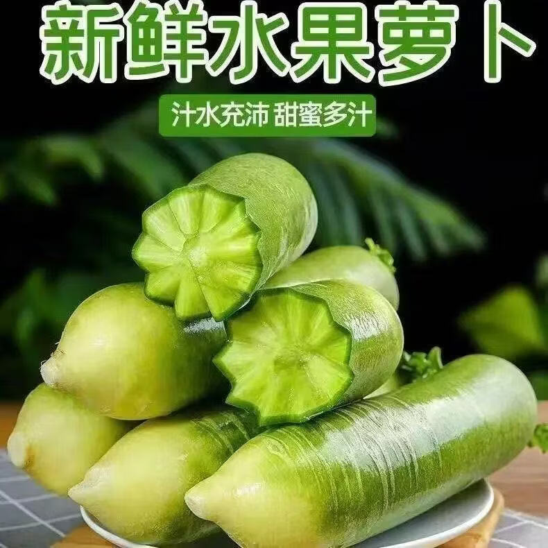 臻菜嫂潍坊水果萝卜生吃新鲜正宗山东潍县脆甜青萝卜现货直发水果萝卜 青萝卜5斤 京东折扣/优惠券