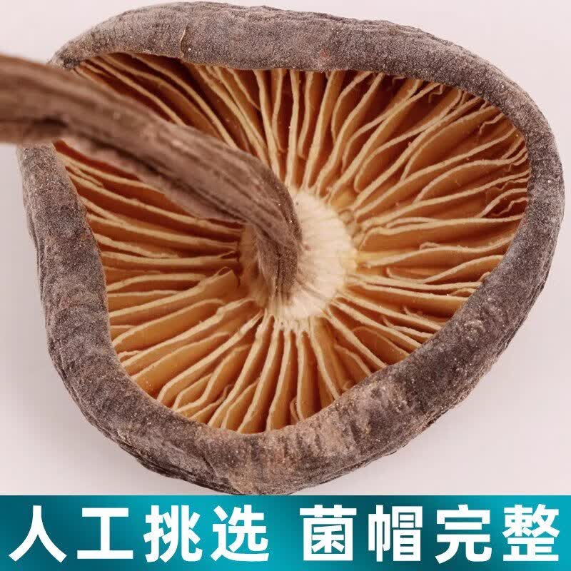 内廷上用野生黑皮鸡肉丝菇干货正宗天然鸡纵菌云南特产菌菇鸡棕菌营养煲汤 500g 1包*1袋 鸡肉丝菇