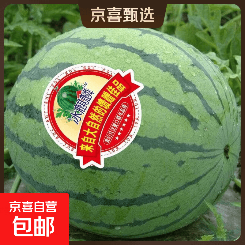 夏日必买麒麟西瓜安徽砀山精品爆汁西瓜 一个装-净重5-7斤