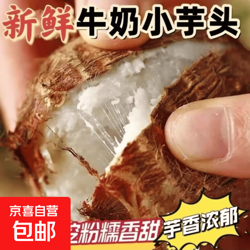 山东新鲜牛奶小芋头现挖农家毛芋头小香芋芋艿早餐时令蔬菜 新鲜牛奶小芋头 5斤含箱