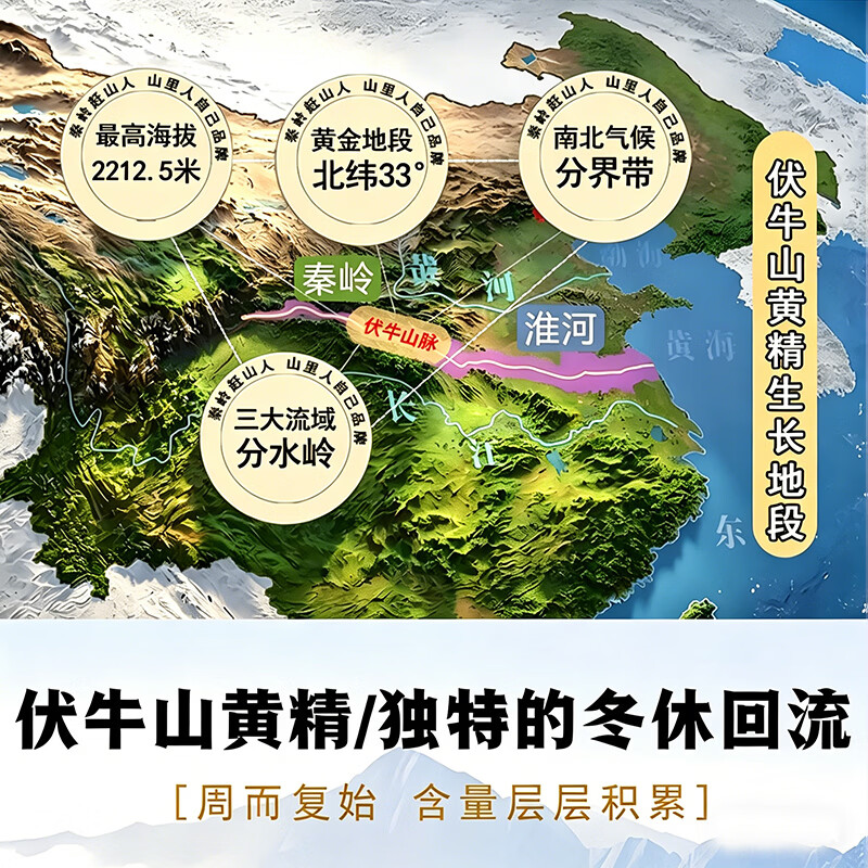 秦岭赶山人野挖黄精原料250g自然晾晒无硫伏牛山直发煲汤泡酒好原料 伏牛山野挖多花黄精 100g*1袋