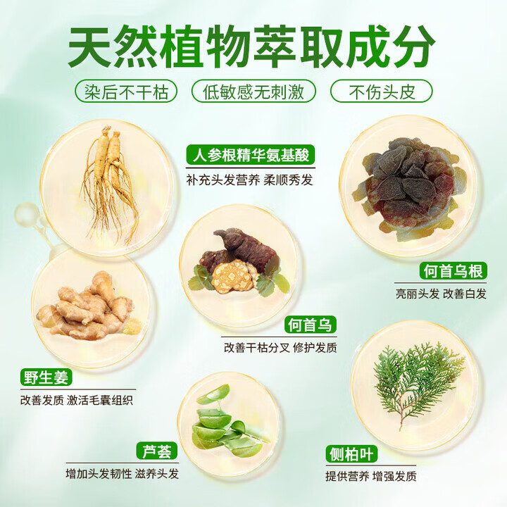 同仁堂（TRT）泡泡染发剂染发膏植物无刺激不沾头皮孕妇可用男女士专用 自然黑色350ml10袋【植物盖白】