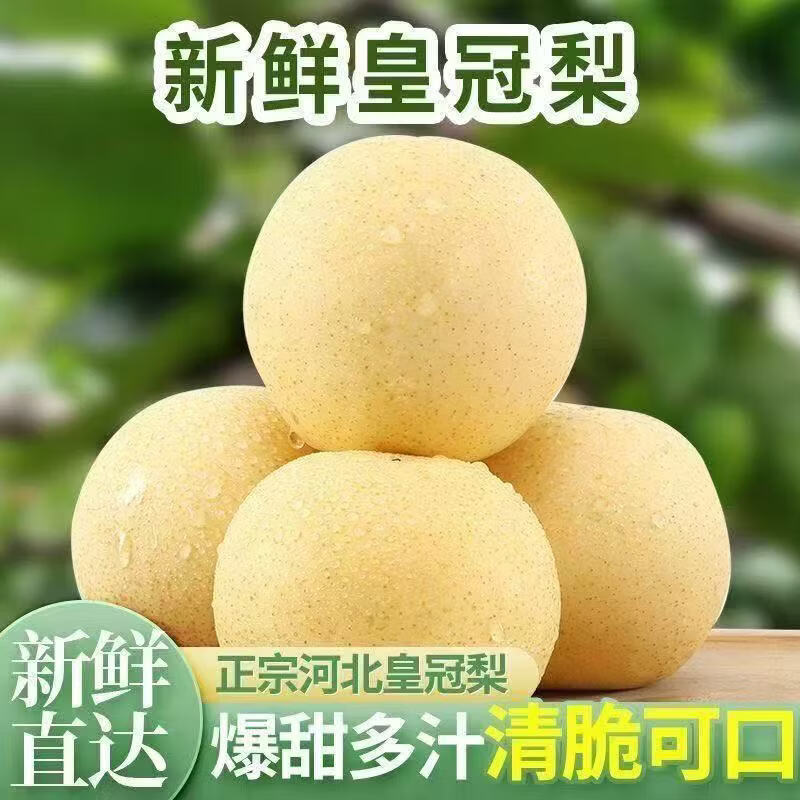 远达河北梨皇冠梨整箱牛奶梨应季水果脆甜多汁 皇冠梨净重4.5斤