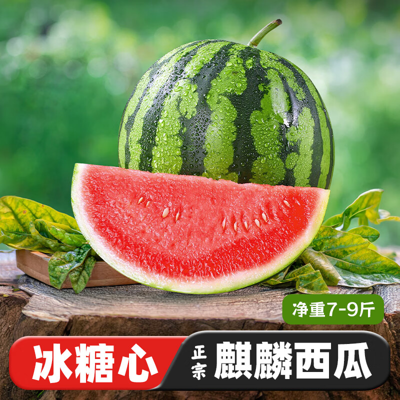 京觅 沙地麒麟少籽甜西瓜 净重7-9斤 新鲜水果时令生鲜应当季源头直发
