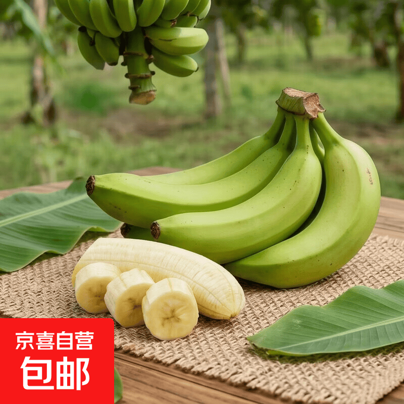 【东东农场专供】云南高山香蕉甜糯香蕉青皮蕉当季现摘芭蕉需催熟 黄色 净重9斤