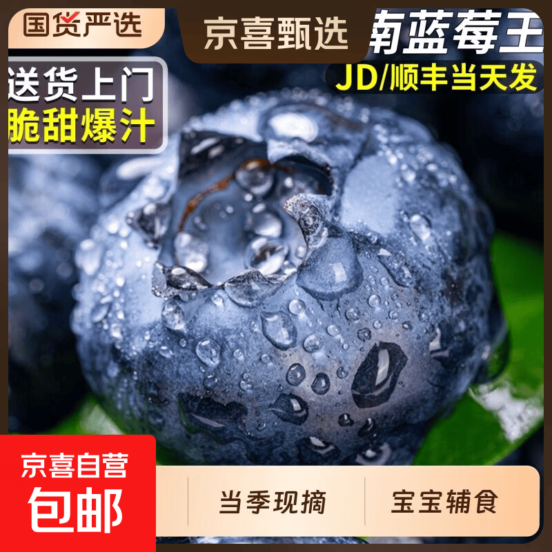 花香蓝莓特大果 新鲜生鲜水果 当季应季直发礼盒装 中果蓝莓 4盒装*100g【15mm+】