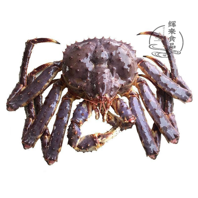 食怀蟹海鲜鲜冻水产4-10斤特大螃蟹冰鲜生冻皇帝蟹面包蟹顺丰 4-4.