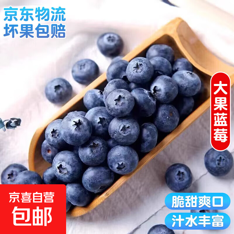 云南蓝莓超大果【多地JD快递】国产新鲜蓝莓 孕妇精选水果 4盒装 多买多划算【70-90g/盒】 中果【单果15mm+】