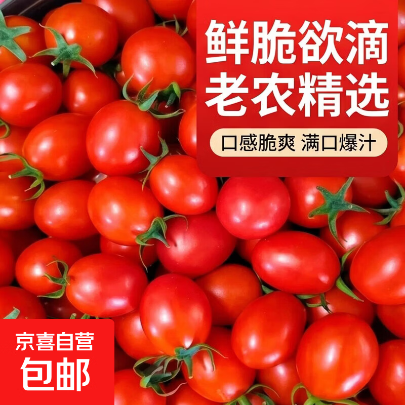 京喜加【老农精选】河北正宗千禧小番茄千禧贝贝圣女果水果西红柿 圣女果 3斤