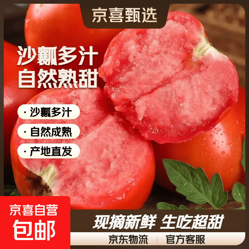 正宗普罗旺斯西红柿沙瓤水果番茄蔬菜现摘新鲜自然熟生吃粉果超甜 山东正宗普罗旺斯5斤带箱 4.8斤净重