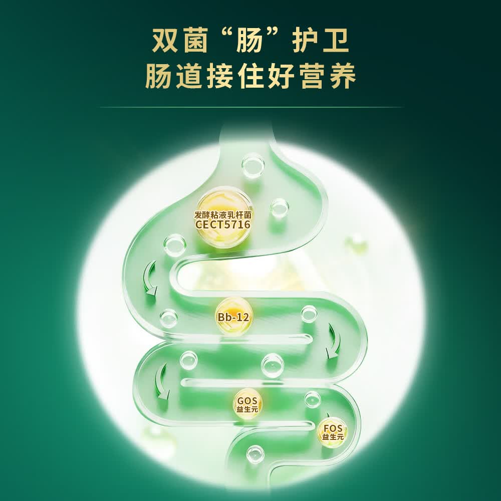 太子乐（Taizile）挚恩较大婴儿配方奶粉2段(6-12个月婴幼儿适用）400g 400g/听