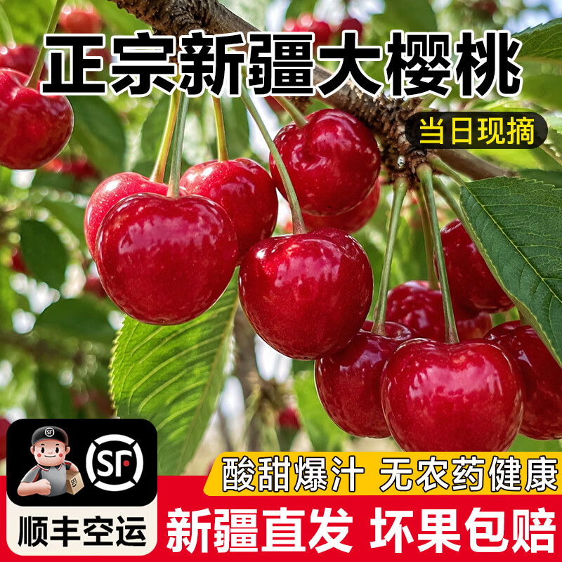 新疆喀什大樱桃新鲜采摘应季水果红灯酸甜国产车厘子包邮 2斤(净重) 新疆直发 顺丰空运 单果 28-34mm 超大果