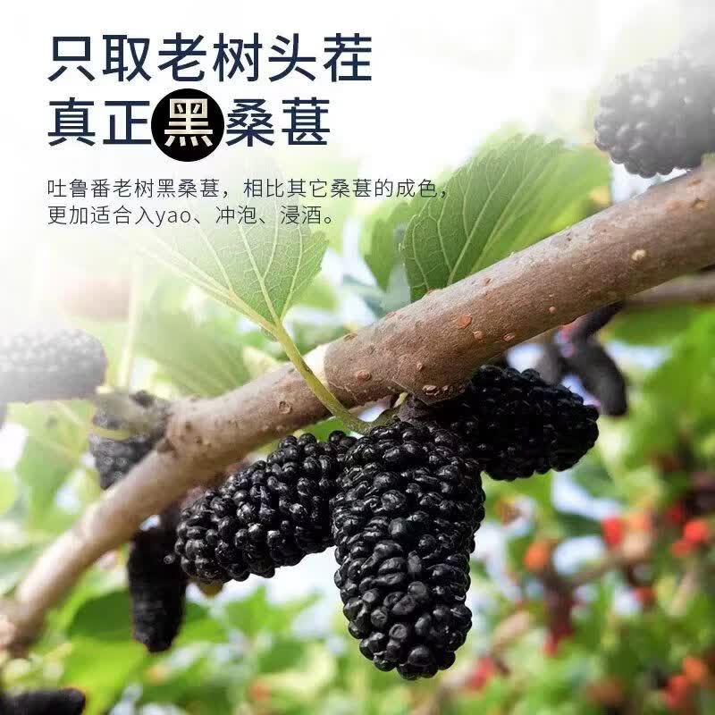 同仁堂(TRT)新疆头茬黑桑葚干无添加大果颗粒饱满花青素丰富滋阴补血养生茶 新疆特级桑葚干 200g*4罐