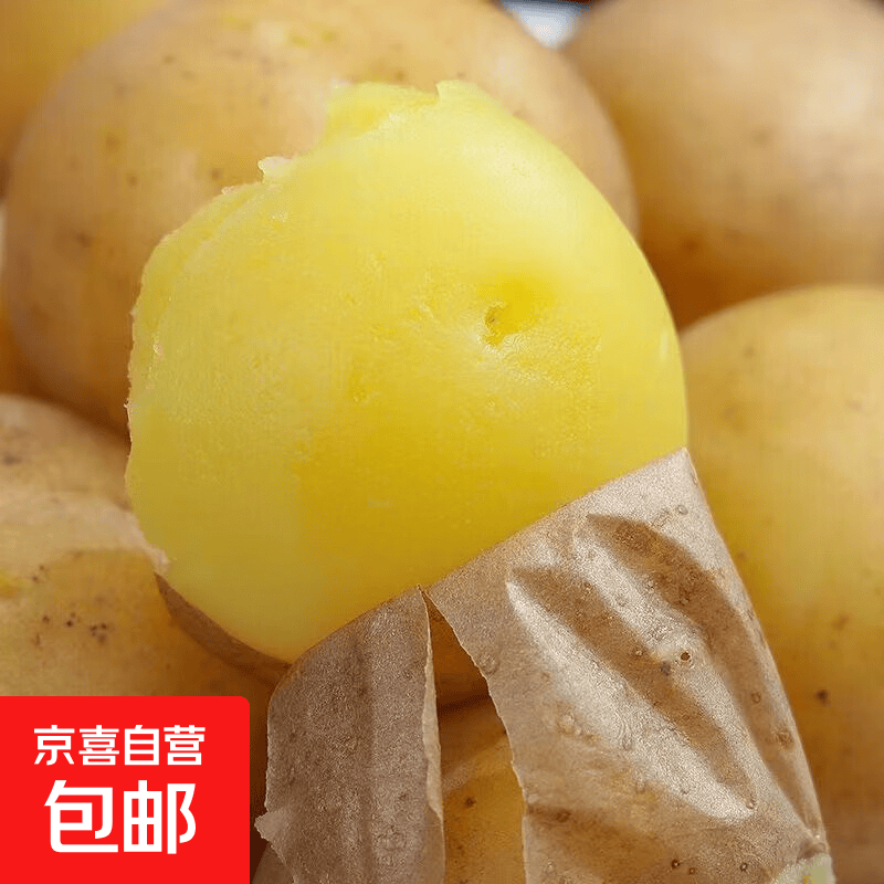 正宗粉糯黄皮黄心土豆马铃薯农家现挖土豆软糯洋芋新鲜直发蔬菜 软糯黄心土豆小果 1斤带箱