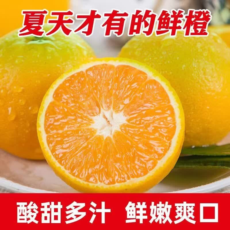 您家橙湖北秭归夏橙当季新鲜橙子现摘手剥甜橙孕妇水果酸甜多汁 秭归夏橙净重4.5斤101g