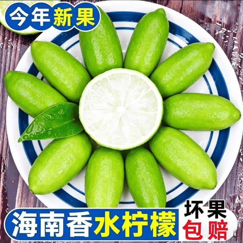 【产地批发价】海南无籽香水青柠檬鲜果整箱当季水果奶茶店专用 海南无籽香水柠檬【独立包装】 超值小果【50-80克】约9-15个果【约1.5-2斤】