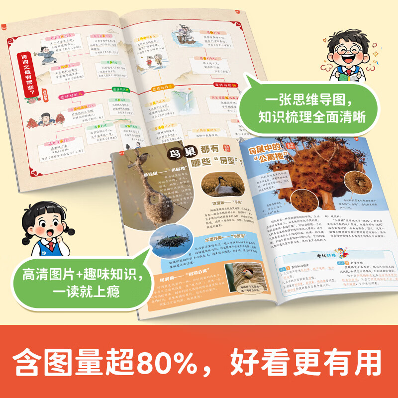当当开心趣读大语文小学生一二三四五年级上下册同步语文教材课本单元2026秋人教版基础知识点汇总预习拓展美文阅读理解专项训练作文素材百科文学常识 趣读大语文【26秋】 三年级上册