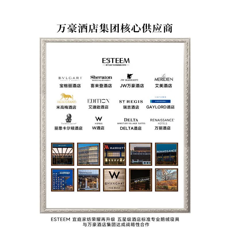 宜庭(ESTEEM)栖居者可水洗鹅绒羽绒被子母被被子春秋被夏被【专柜同款】 乌有乡蓝(子母被) 150x215cm (适合1.2m床)