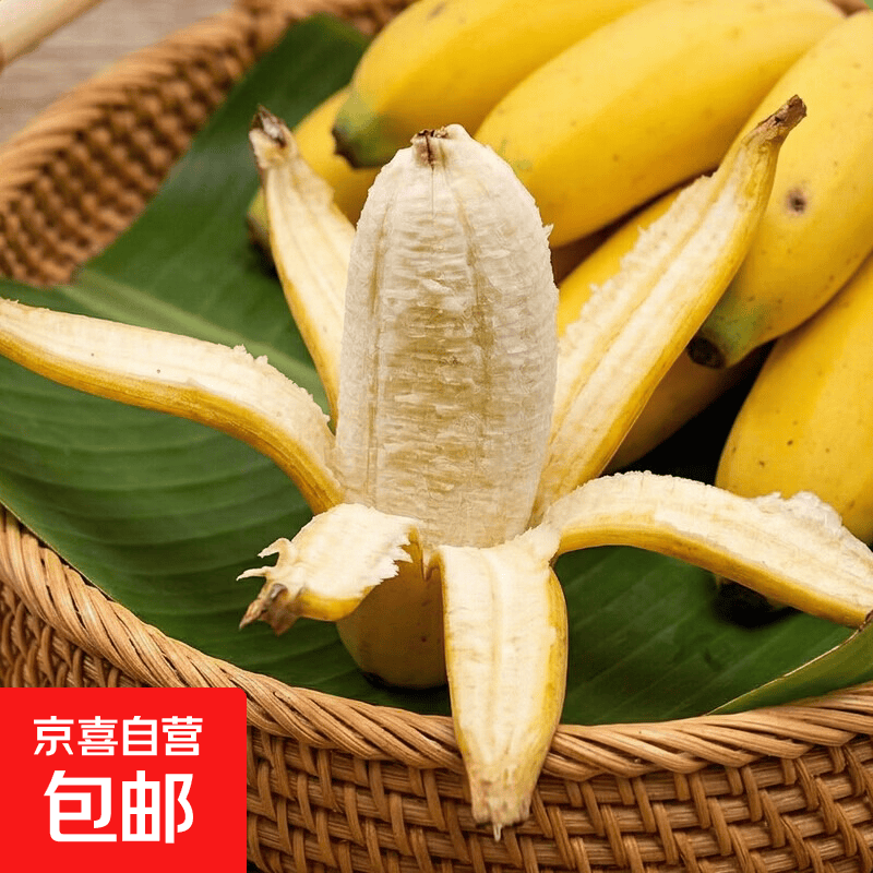 京喜加广西小米蕉自然熟新鲜水果现摘香蕉芭蕉苹果蕉当季香甜粉糯现摘 带箱2斤