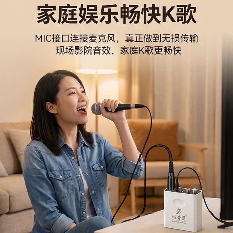 迅音蓝蓝牙接收器6.0音响功放转换无线音频适配U盘麦克风k歌无损立体声 蓝牙接收器+遥控器+二对二音频线