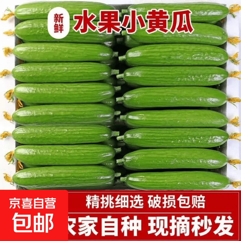 寿光新鲜现摘水果小黄瓜嫩青瓜生吃蘸酱脆甜无刺5斤包邮农家蔬菜 【商超精品】1斤